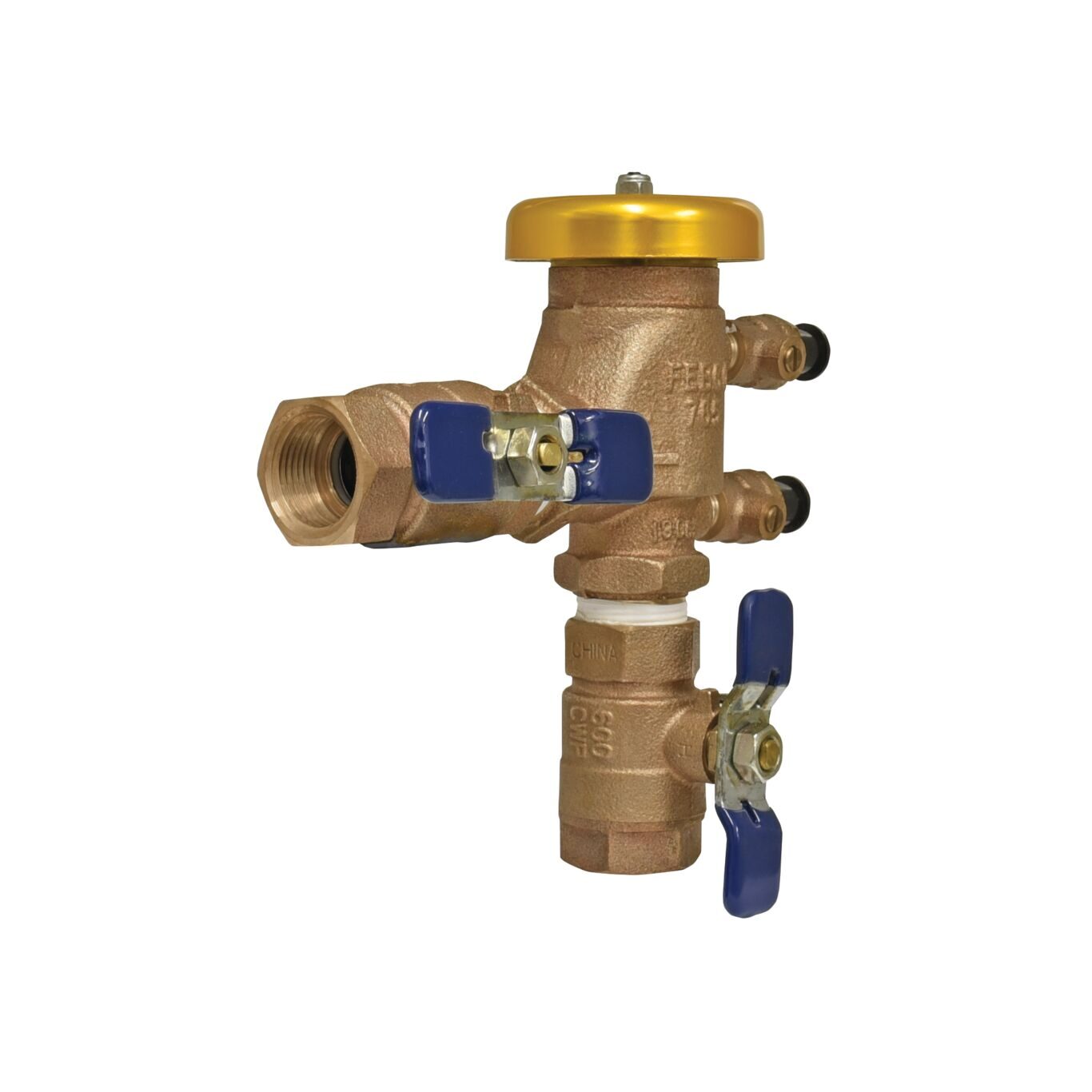 Febco 765 Replacement Backflow Preventer